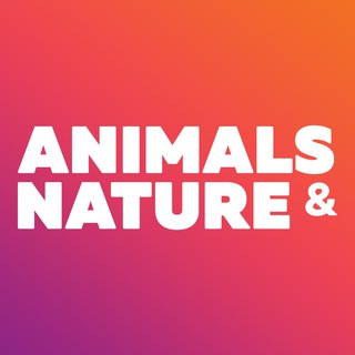 Animals &amp; Nature - beautiful wallpapers