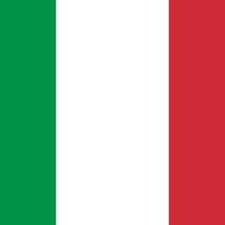 Learn / study Italiano - Grammar focused