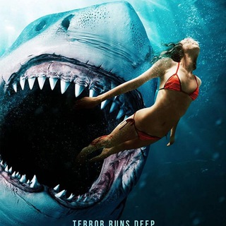 Shark bait ITA FILM